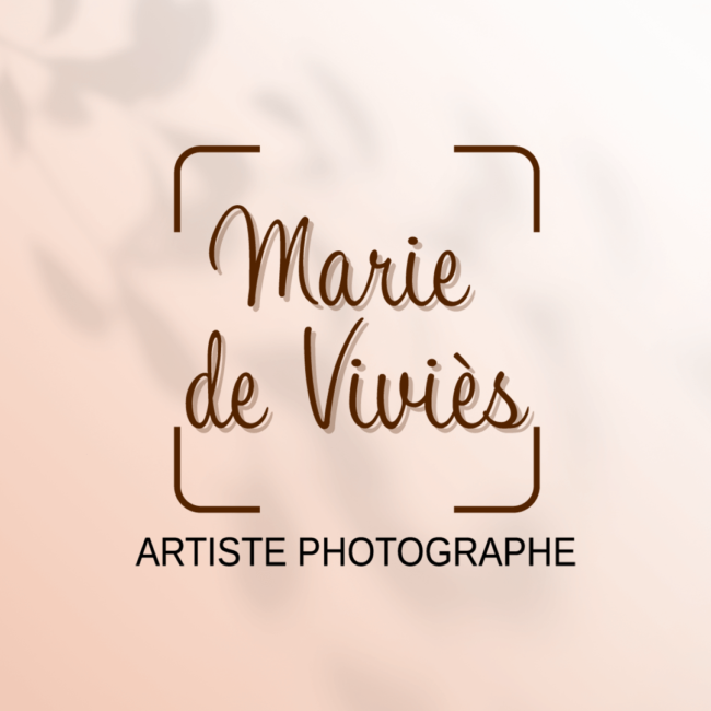 Logo Marie de Viviès