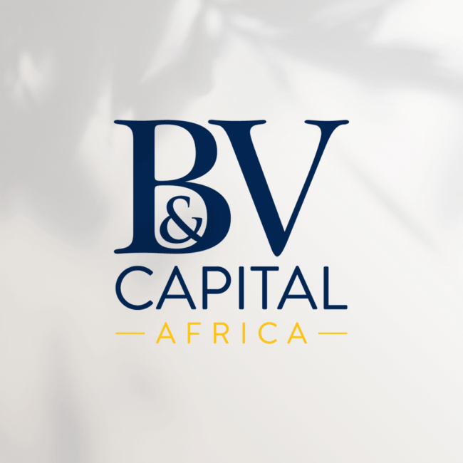 Logo Bv Capital Africa