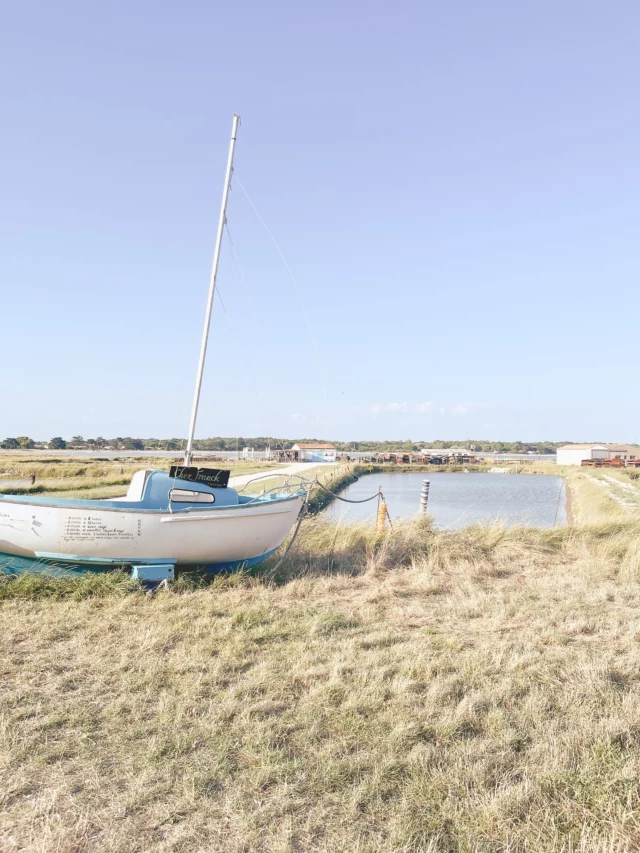 🌞Pellicule de mes vacances d’été (1/2)

🐚 1 à 10 : Déconnexion à Île d’Aix
Traversée en bateau, Fort Boyard, Alma, du 🐟, des plages, le tour de l’île à vélo tous les 4 + 🐶, des soirées hors du temps

🦪 11 à 15 : Retour en famille sur notre Île d’Oléron
La traditionnelle ascension au phare de Chassiron, Garance 👶🏼, faire du catamaran à Boyardville, la plage de Bonnes toujours et encore 🩵
